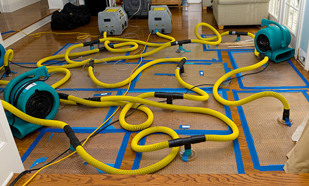 Professional Sewage Cleanup technician working in Coolidge, TX